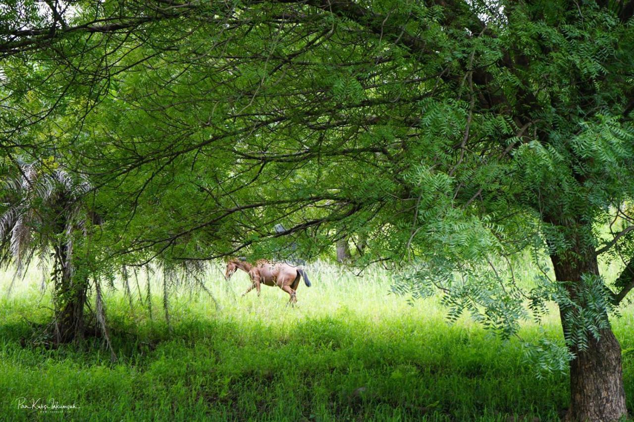 Отель The Green Ranch Кумаси Экстерьер фото